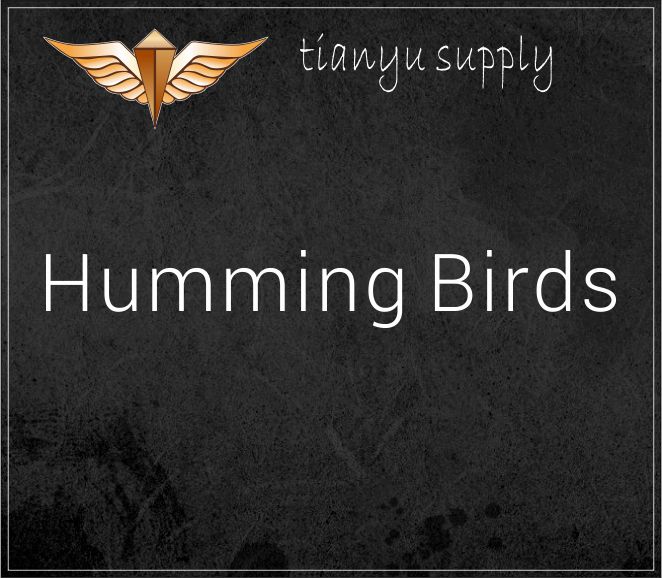 Humming Birds